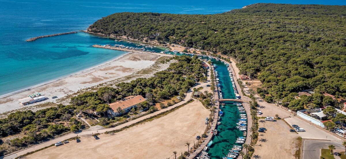 porto-pino