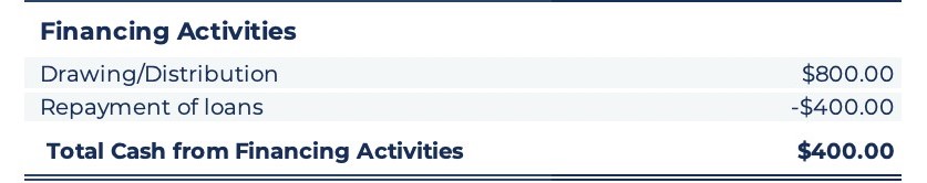cash-flow-statement-financing-activity