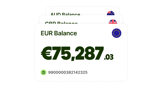 Saldo da Wise em Euro.